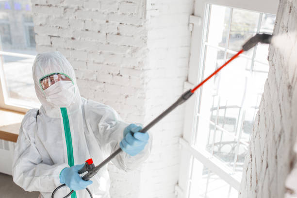  Concord, MO Mold Removal Pros